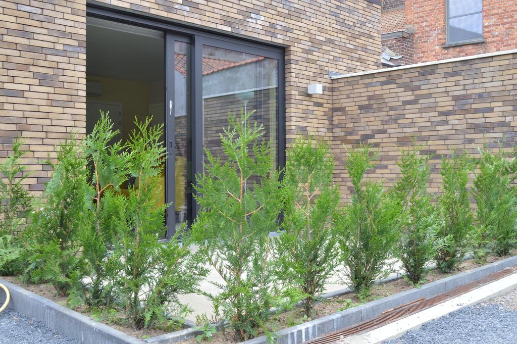 Apartmán Bed & Zorg Ieper Exteriér fotografie